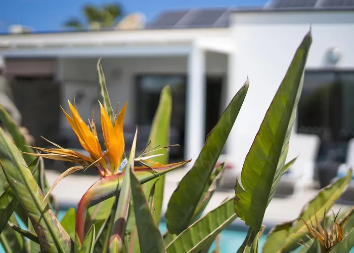 Villa Extraordinary 3 Bedrooms Naraku Spacious